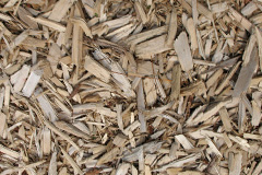 biomass boilers Everleigh
